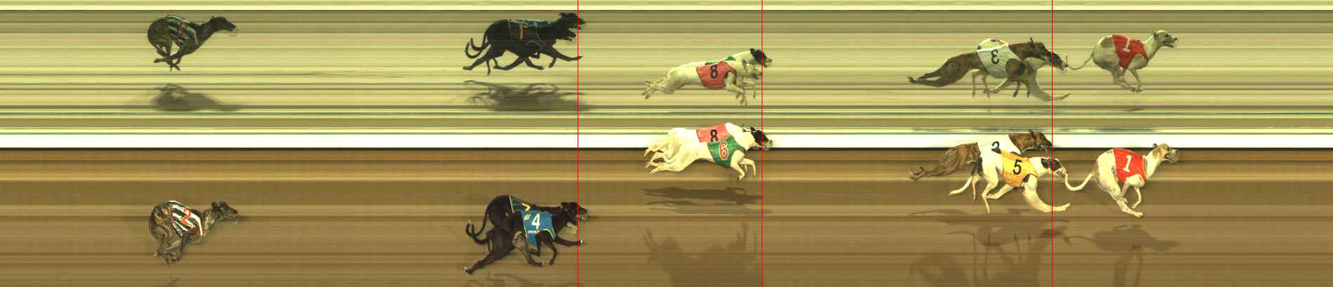 Photo finish for The Meadows Race 4
