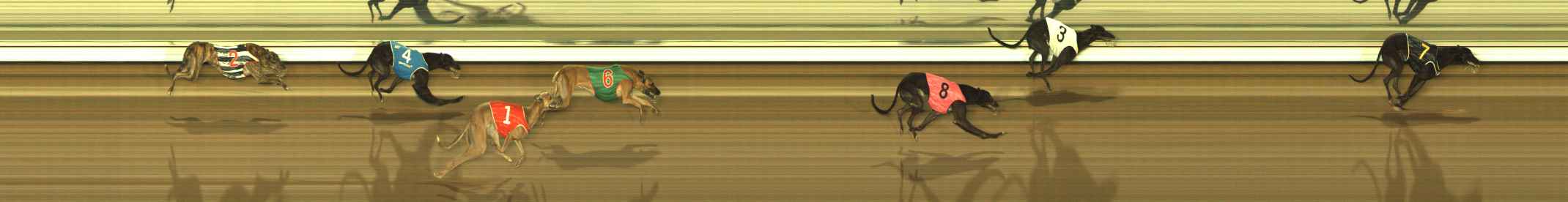 Photo finish for The Meadows Race 8