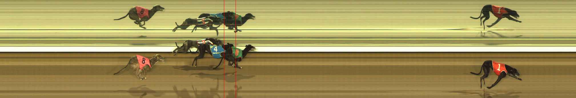 Photo finish for The Meadows Race 9