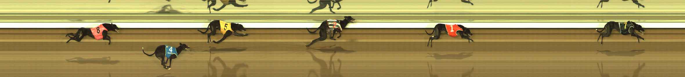 Photo finish for The Meadows Race 10