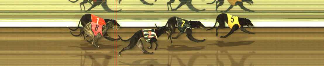 Photo finish for The Meadows Race 11