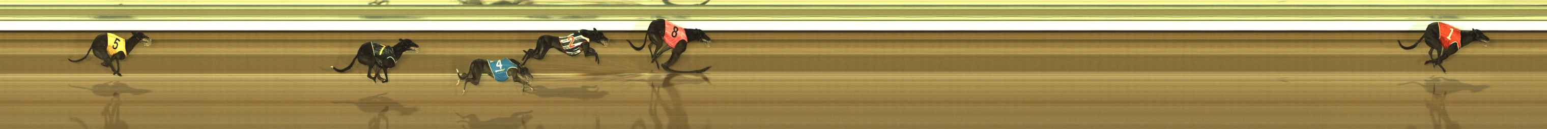 Photo finish for The Meadows Race 12