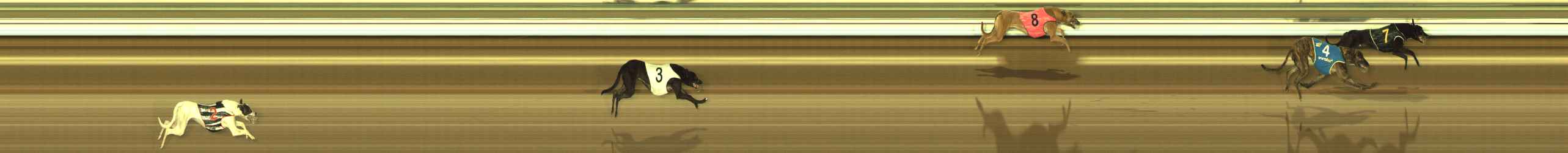 Photo finish for The Meadows Race 1