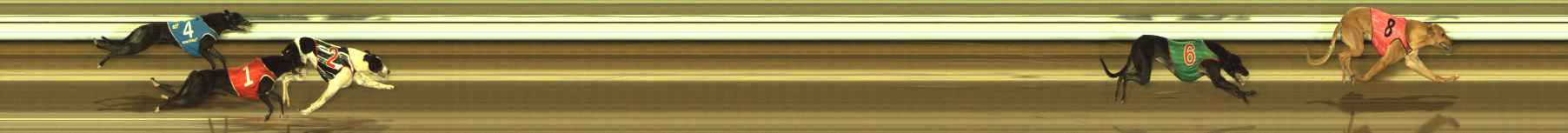 Photo finish for The Meadows Race 2