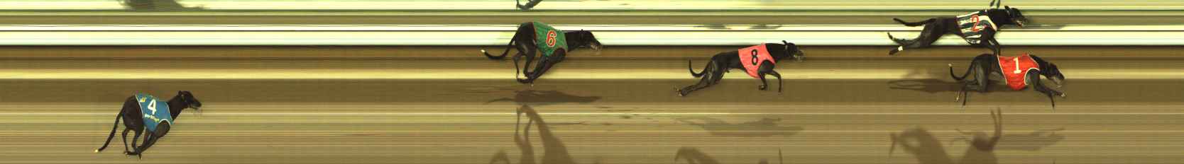 Photo finish for The Meadows Race 4