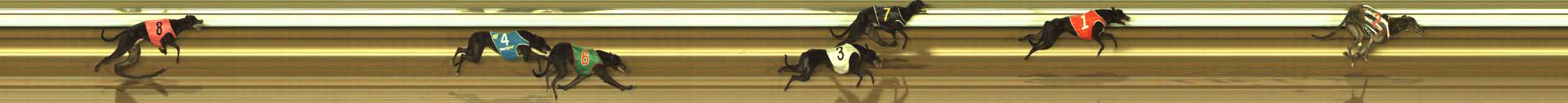 Photo finish for The Meadows Race 6
