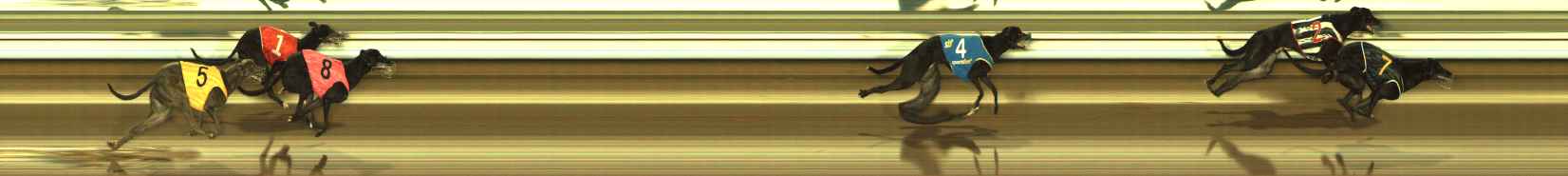 Photo finish for The Meadows Race 7