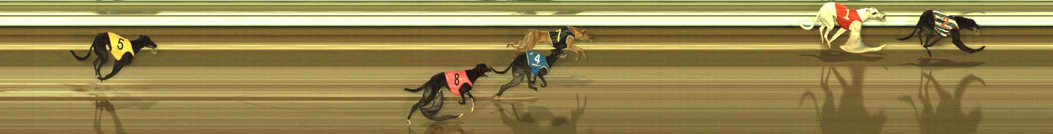 Photo finish for The Meadows Race 9