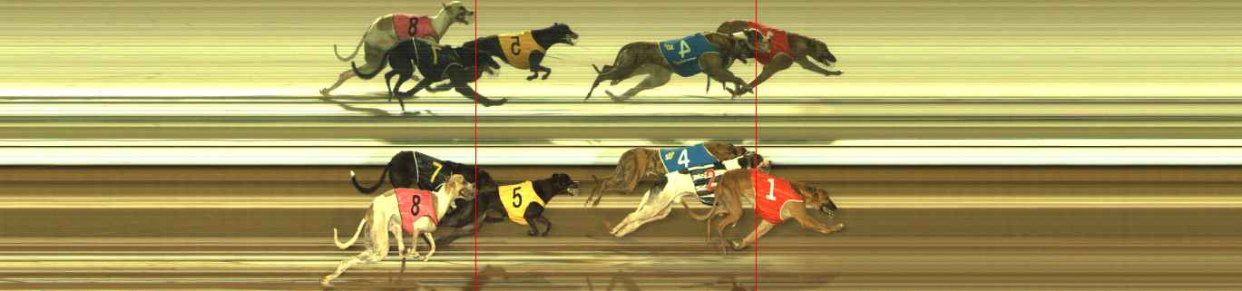 Photo finish for The Meadows Race 10