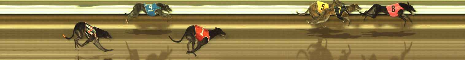 Photo finish for The Meadows Race 11