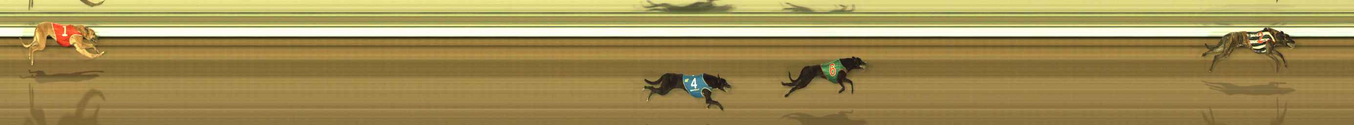 Photo finish for The Meadows Race 1
