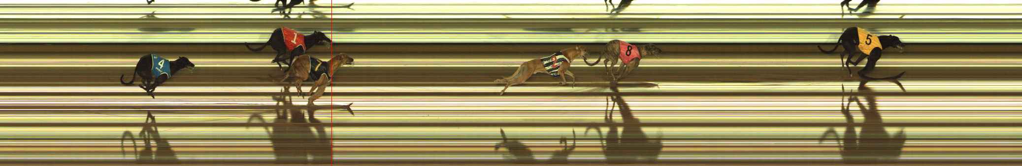 Photo finish for The Meadows Race 5