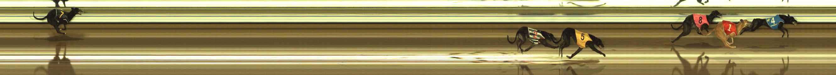 Photo finish for The Meadows Race 6