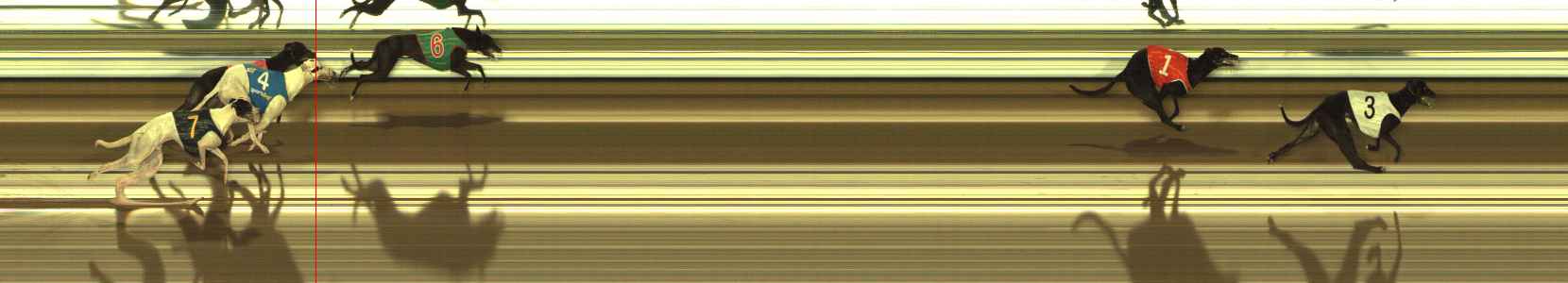 Photo finish for The Meadows Race 7
