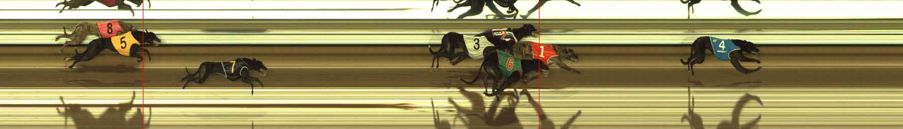 Photo finish for The Meadows Race 8