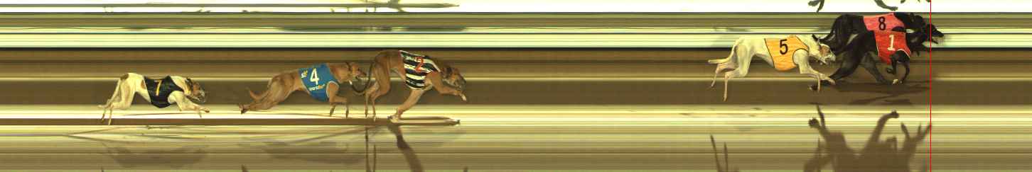 Photo finish for The Meadows Race 9