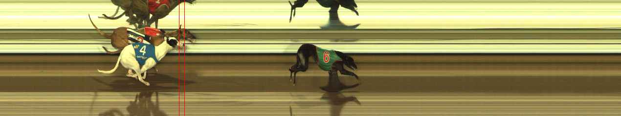Photo finish for The Meadows Race 10