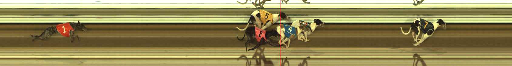 Photo finish for The Meadows Race 11