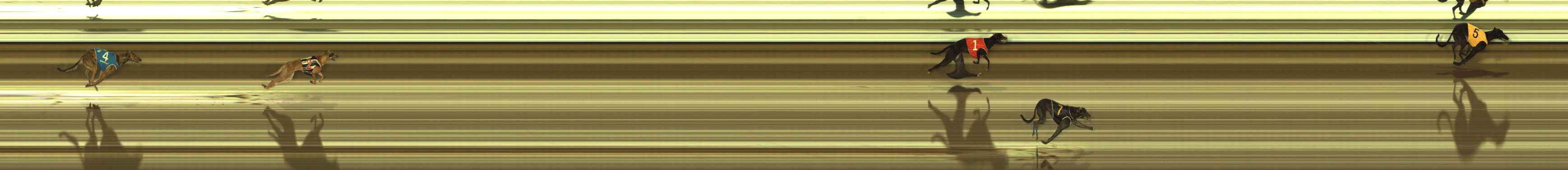 Photo finish for The Meadows Race 12