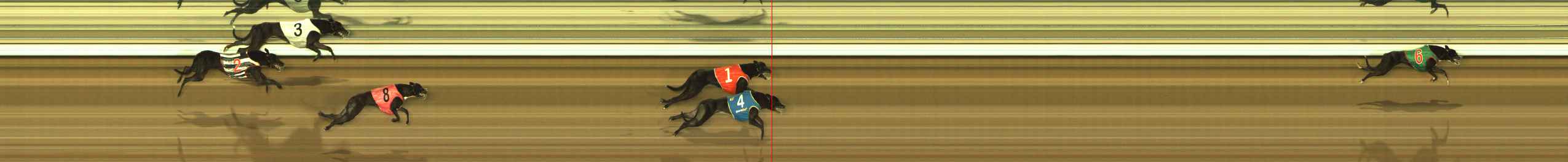 Photo finish for The Meadows Race 1