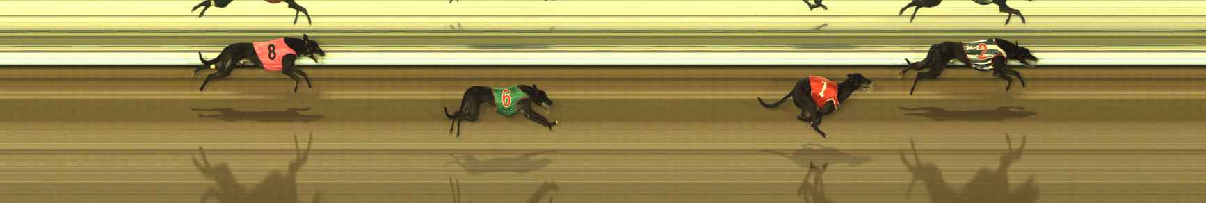 Photo finish for The Meadows Race 2