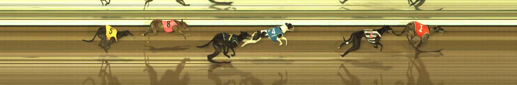 Photo finish for The Meadows Race 3