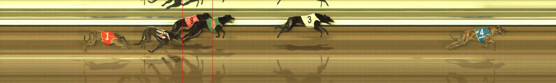 Photo finish for The Meadows Race 6