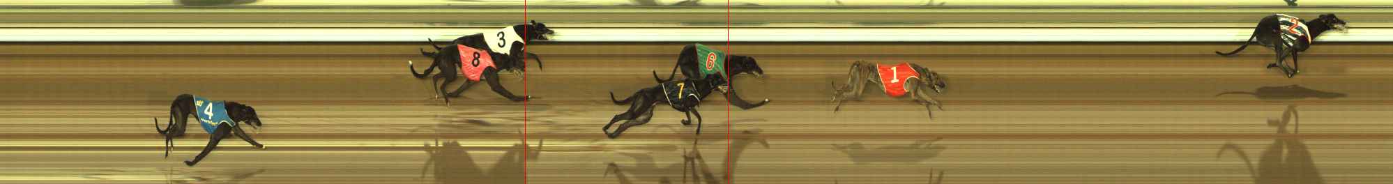 Photo finish for The Meadows Race 8