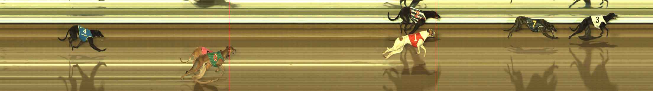 Photo finish for The Meadows Race 9