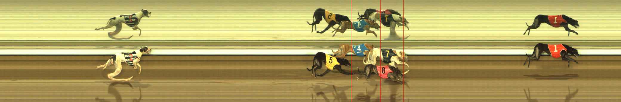 Photo finish for The Meadows Race 10