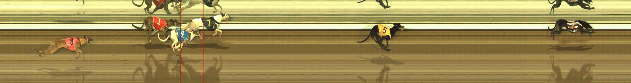 Photo finish for The Meadows Race 11