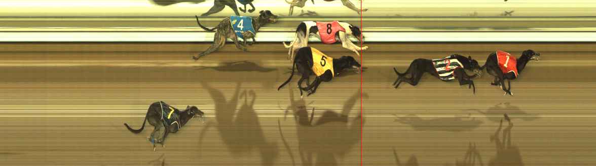 Photo finish for The Meadows Race 12