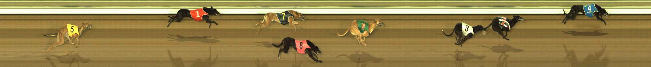 Photo finish for The Meadows Race 1