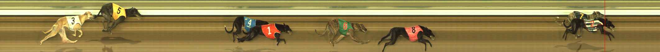 Photo finish for The Meadows Race 8