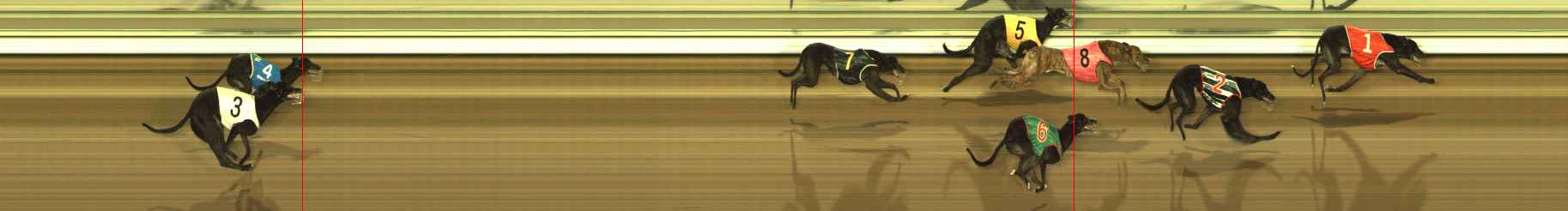 Photo finish for The Meadows Race 9