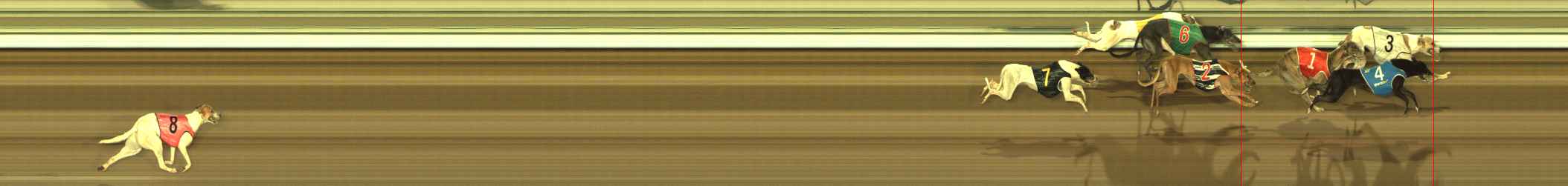 Photo finish for The Meadows Race 10