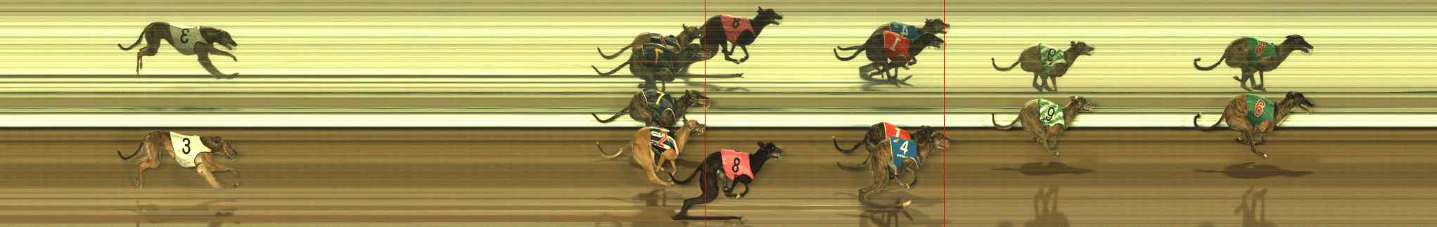 Photo finish for The Meadows Race 11