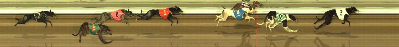 Photo finish for The Meadows Race 12