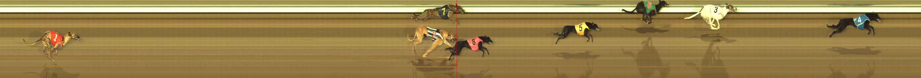 Photo finish for The Meadows Race 1