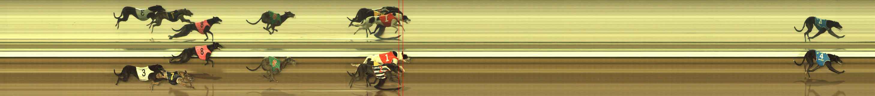 Photo finish for The Meadows Race 2