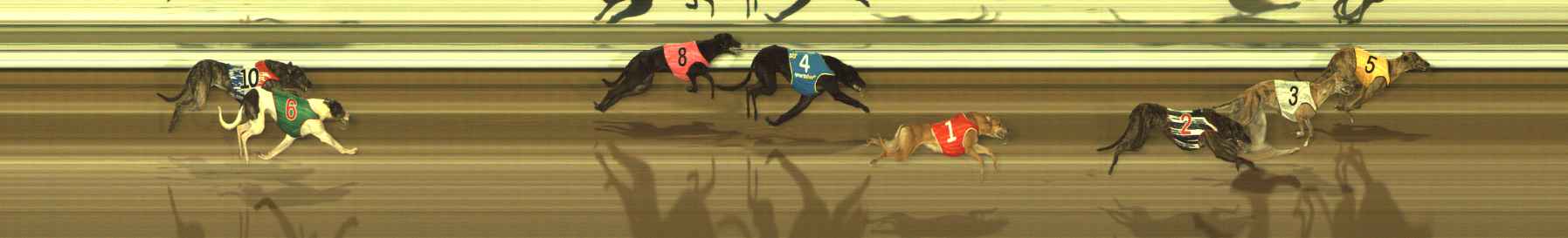 Photo finish for The Meadows Race 3