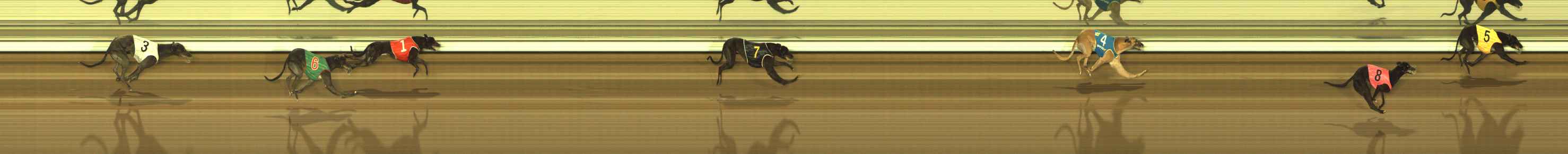 Photo finish for The Meadows Race 6