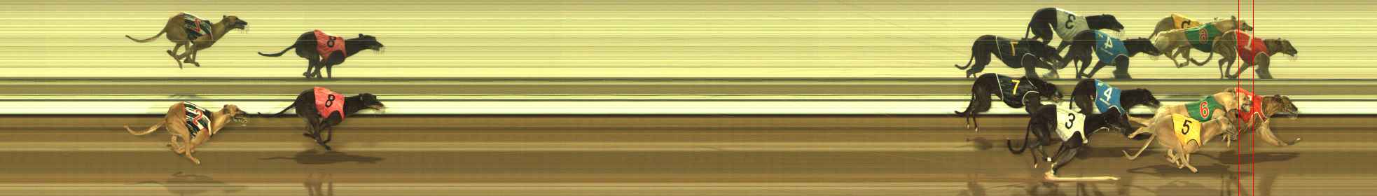 Photo finish for The Meadows Race 7