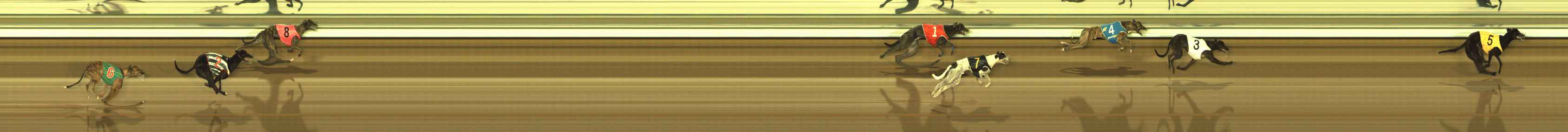 Photo finish for The Meadows Race 8