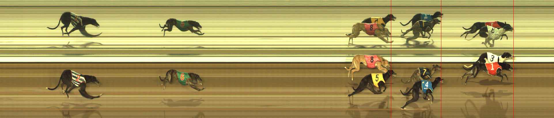 Photo finish for The Meadows Race 11