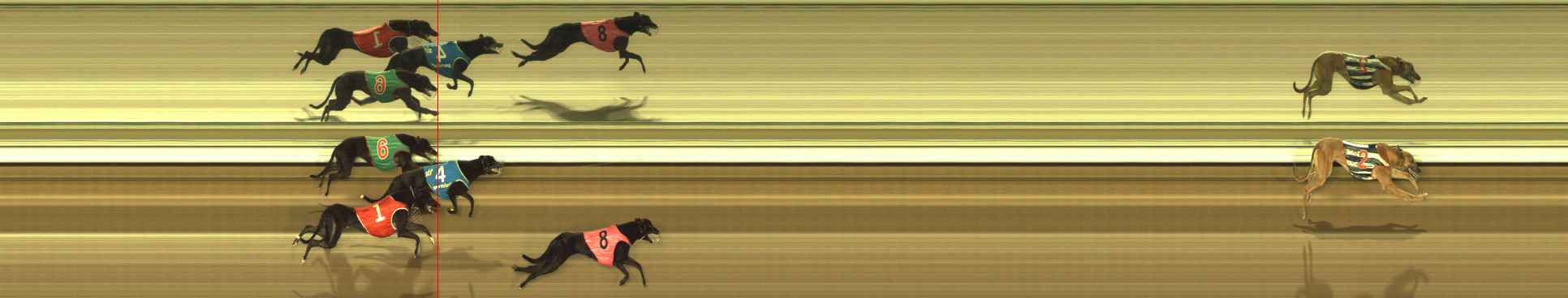 Photo finish for The Meadows Race 1