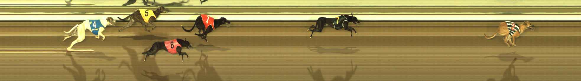 Photo finish for The Meadows Race 2