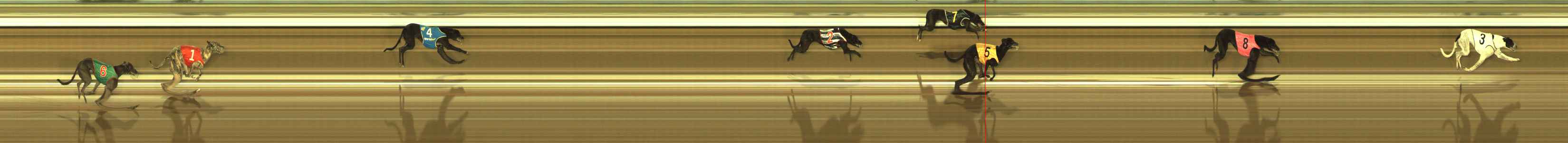Photo finish for The Meadows Race 4