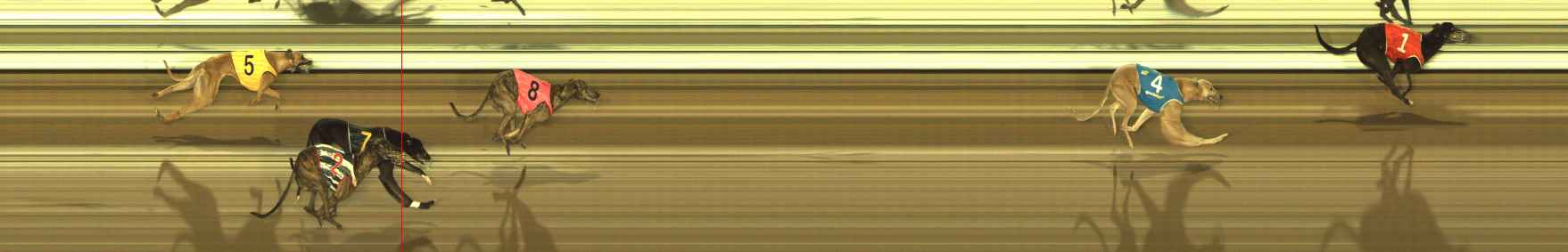 Photo finish for The Meadows Race 7