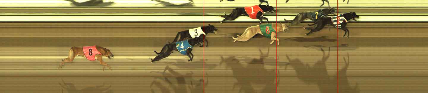 Photo finish for The Meadows Race 8